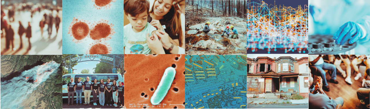 Public health: real-world problems and solutions